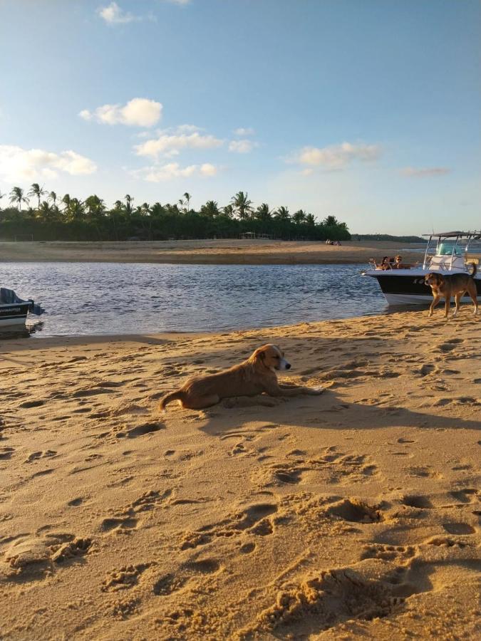 Jasmim Bahia Alojamento de Turismo Selvagem *